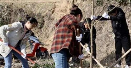 ��ֲһĨ�̣��Ļ�һƬ�֣���������ʦ���͸����������