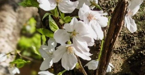 �������ڣ���һ��~