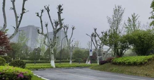 ���������������֣�ϴɹ���ο��԰���������