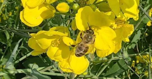 ����������ʾ����ݽ�ͨ��ȫ�����ҡ�������գ�