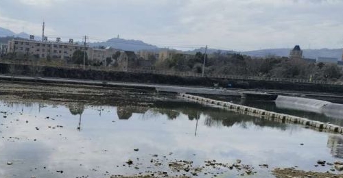 ���¼�������12�棡�����������ڶ���������ˮ��Ӱ�������