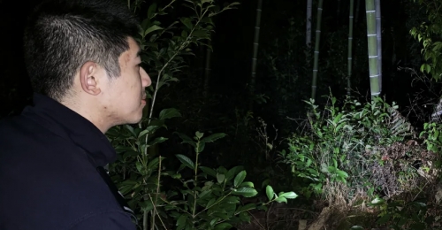 5Сʱ�����İ��ģ�