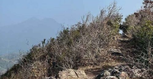 ���£����£�ǿ������������ǳ���������Ȼ��