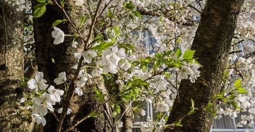 ���ڽ�����ȷ��Ӱ������������Ϣ��...