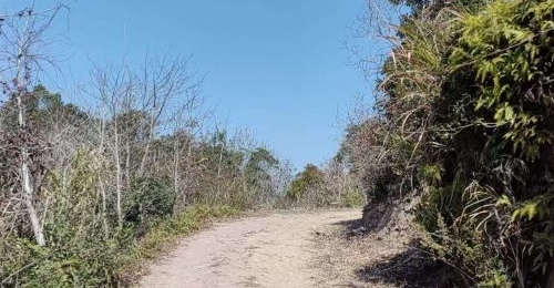 �������ĩ���ʺ�ȥ̤��