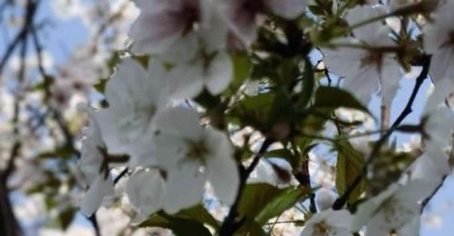 ���գ�����