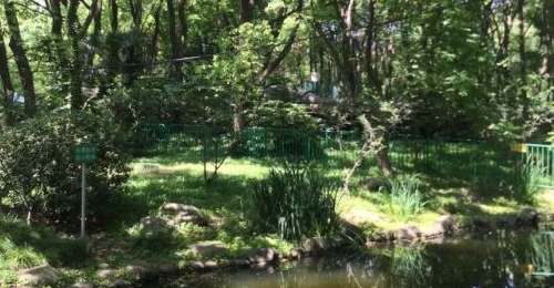 �յ��������Ѻ�ʹ�ø߷��� ��ȫ���ѱؿ�