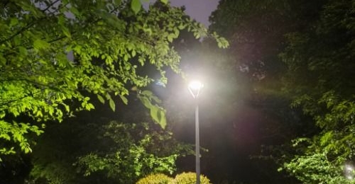 ����������ȱ����8���ź�