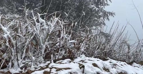 ��֪ʶ��Ϊ��û����Ƭ��ȫ��ͬ��ѩ����