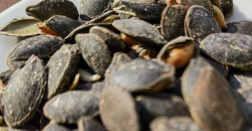 ����ؿ���ྐྵ���һʱˬ��̰�����