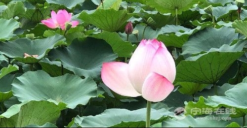 7��̨�缴�����ɣ�������������������