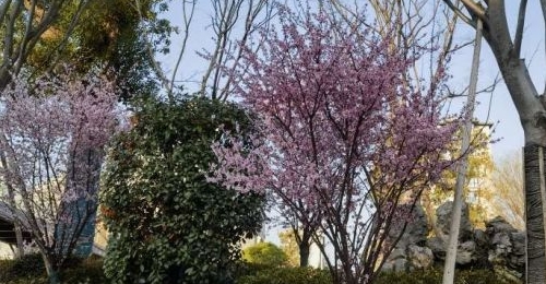 �����3��̨�硰���ġ����ɣ�����������������