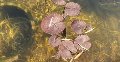 ֱ��21�棡����Ҫ������