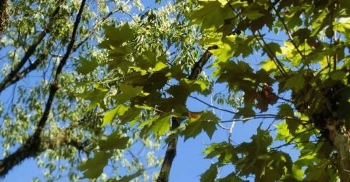 ڵȵˣӭ޴תۣξȻôͣ
