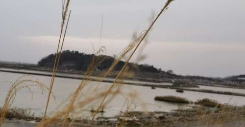 ���ٴ��족���ߣ�23���۷�󣬽��½�ˮ��ͻϮ������·��