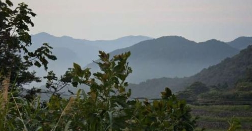 ɽ賿