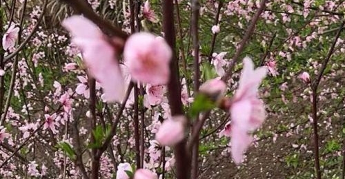 ��Χ����������꣡�������ĵĺ�ʱ��Ҫ�ȵ���