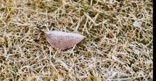 ����Խ��Խ�䣬��ע�������ů��ͬʱ����Ӧ�ʵ�����ͨ��