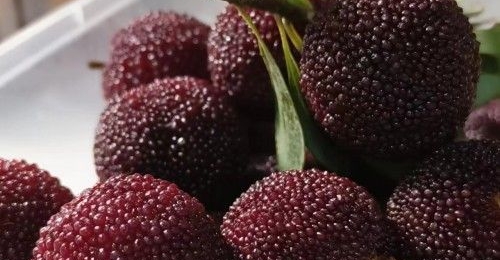 ϴ��÷�����ü����ˮ ������ôϴ�Ÿɾ���