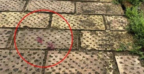 ��Ϊ�����һ����͵���ˡ�����������9Сʱ�ư���