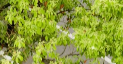 �����ֱ��죡ʱ��ʱ�������Ҫ���������죿