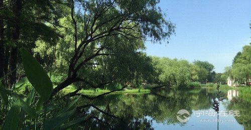 �ļ���ο�ѧ����������Ƥ����������Ҫ�ܿ�
