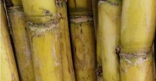 ��Ҫ�ԣ���Ҫ�ԣ�����ǰ�󡰶����ߡ�