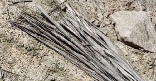 ע�⣡ע�⣡���ܴ�䣡ת�۽��ڡ���