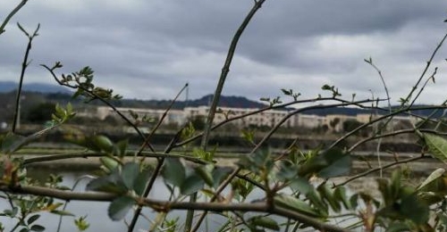 �Դ������������е����꣡�������������Ҫ��������