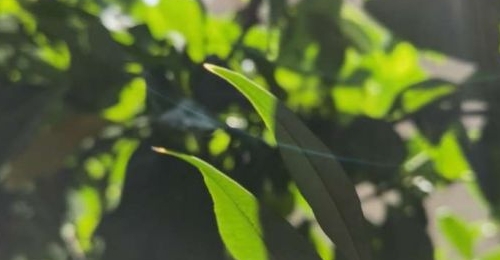 ݡķ񡱣꣡ڡ