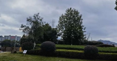 ������������������������·�ϣ��������ˮ������