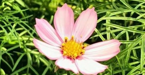 ����ͬ��ʢ�ͷ�һ�λ���