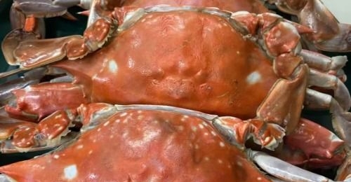 4��1��12ʱ�����ֺ��ʽ�������