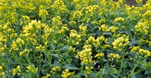 Ϊɶ���쵽�����ס���Ƣ��������