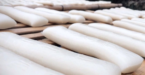 ���Ʈ����ζŨ ��������ӭ����