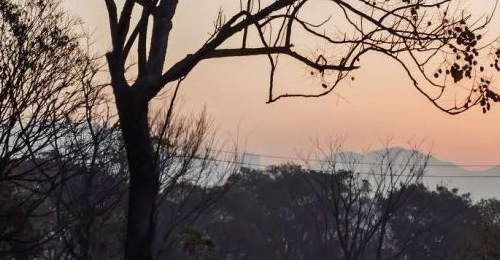 ������ģ�ӭ��Ӹ�