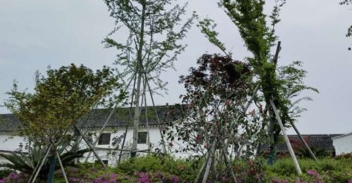 ��һֱ�£����ټ�����Ҫһֱ�ȵ������������¡���