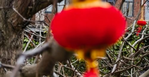 �ں��ϰࡰ�����ѡ������ʵ��ָ�ϰ�����ٵ���״̬