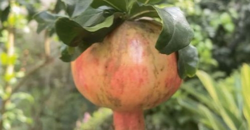 ڵ£