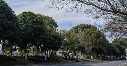 ���⼴�����ߣ���������󣡴��ڼ���������ת�ַ�ת��