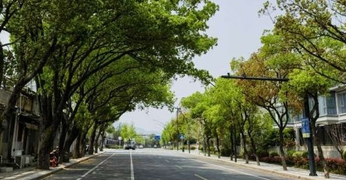 ���ꡢǿ������������ת�������˹غ��Ŵ�