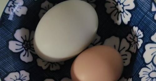 ������ô�Ը�������������һ���1��