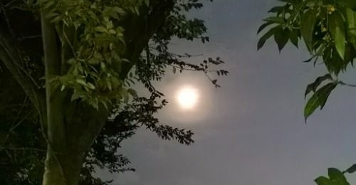 ˯�ö��䱿���⼸���˯��ʱ������Ҫ��