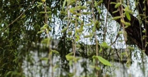 ���ڵȵ���һֱ������һ������Ҫע������е�����