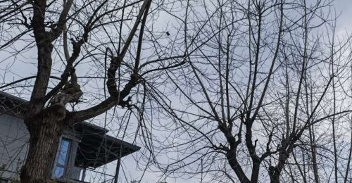 �����꣡����ʪ��������������...