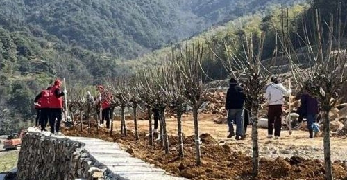 ����ʮ�������̣���Ժ��չ����ֲ���