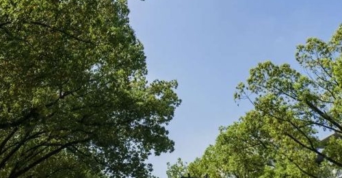 ���ϻ�����������ֲ���34�棡�����꼴�����ߣ�