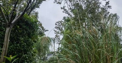 �ȵ������䣿��������ϵִ��硢���»��С�