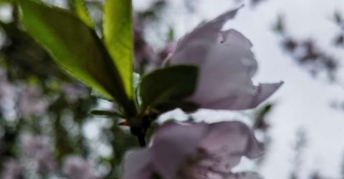 ��ˮ���������ĸ��ԣ����ʱ�����ԣ��������µ��ġ�