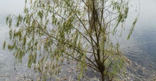 ���գ�����